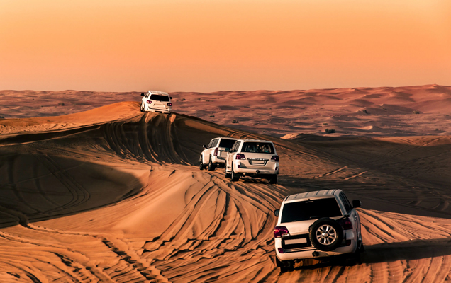 Dubai Desert Safari Dune Bashing