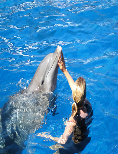 Swim With Dolphins In Dubai
